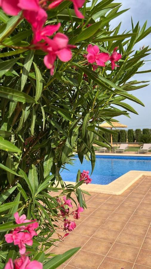 柳奇马约尔 Finca Sol Y Vida - Agroturismo Son Sampoli酒店 外观 照片